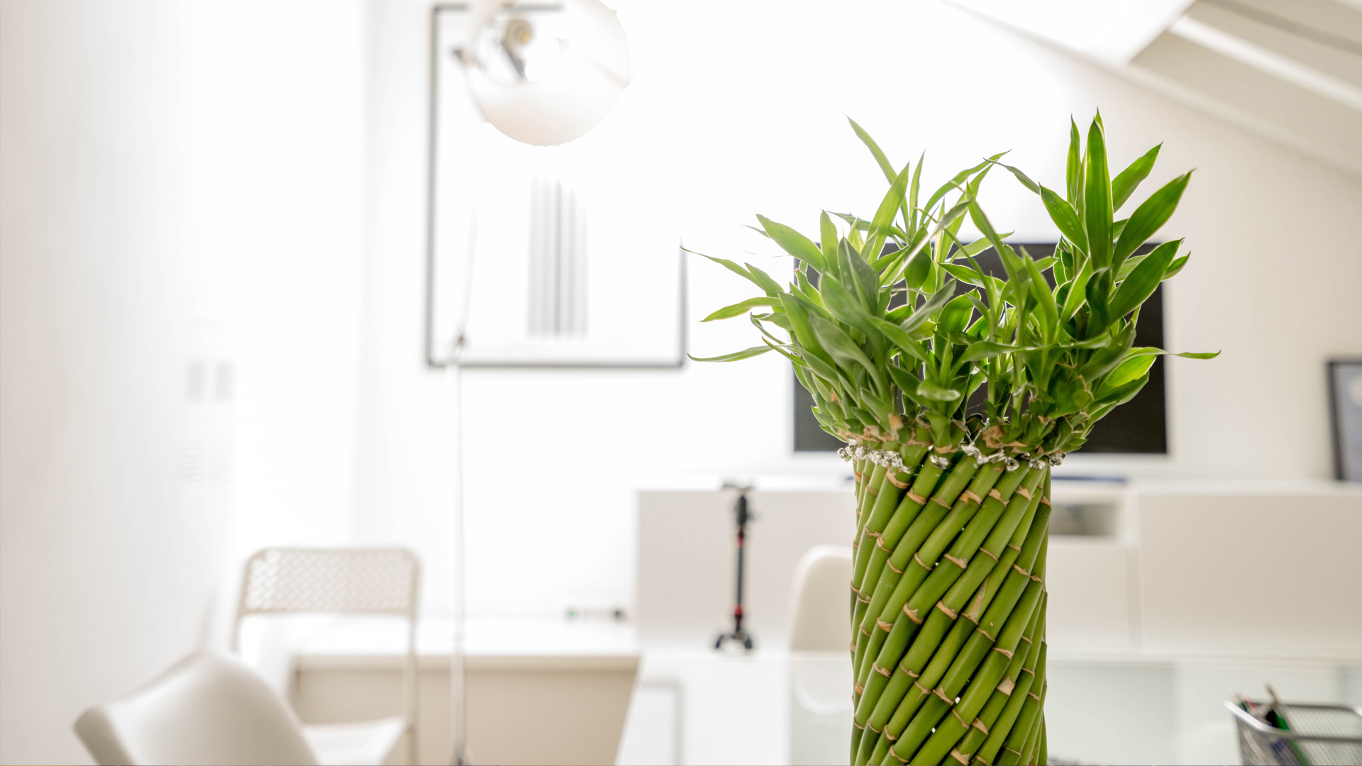 starke.design DEMO-Website Medizin